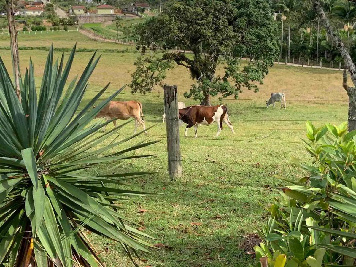 Sitio Canta Galo Governador Celso Ramos Exteriér fotografie